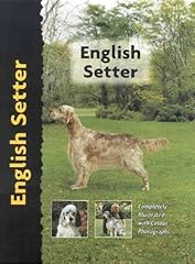 English setter for sale  Delivered anywhere in UK