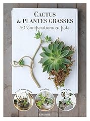 Cactus plantes grasses d'occasion  Livré partout en France