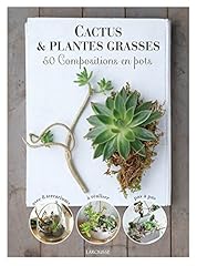 Cactus plantes grasses d'occasion  Livré partout en Belgiqu