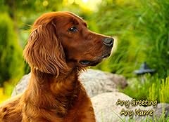 Personalised irish red for sale  Delivered anywhere in UK