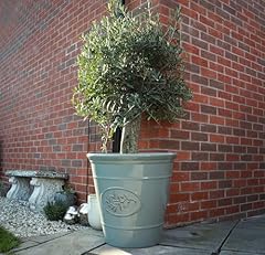 Outdoor classic olive for sale  Delivered anywhere in UK