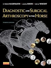 Diagnostic surgical arthroscop for sale  Delivered anywhere in USA 