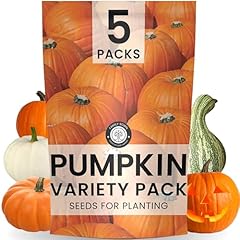 Pumpkin seeds invidiual for sale  Delivered anywhere in USA 