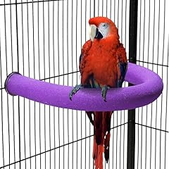 Tetupga shape parrot for sale  Delivered anywhere in UK
