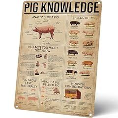 Homely accents pig for sale  Delivered anywhere in USA 
