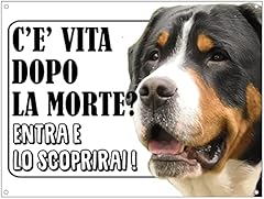 New cartello segnaletico usato  Spedito ovunque in Italia 