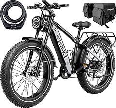 Heybike brawn 750w for sale  Delivered anywhere in USA 