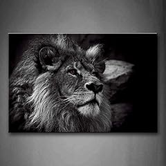 Black white gray for sale  Delivered anywhere in USA 