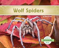 Wolf spiders for sale  Delivered anywhere in UK