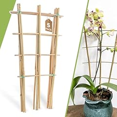 Pack bamboo trellis for sale  Delivered anywhere in USA 