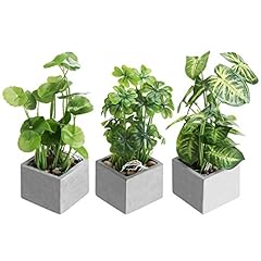 Mygift artificial plants for sale  Delivered anywhere in USA 