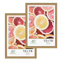 Frameworks pack 12x18 for sale  Delivered anywhere in USA 