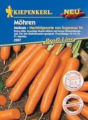 Kiepenkerl profi line gebraucht kaufen  Wird an jeden Ort in Deutschland