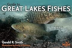 Guide great lakes for sale  Delivered anywhere in USA 