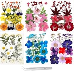 Hsajs fleurs séchées d'occasion  Livré partout en France