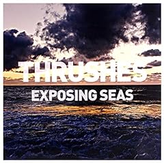 Exposing seas usato  Spedito ovunque in Italia 