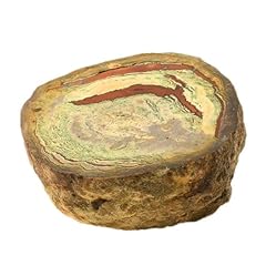 Lithophyse 427.0 carats d'occasion  Livré partout en Belgiqu