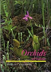 Orchids indiana for sale  Delivered anywhere in USA 