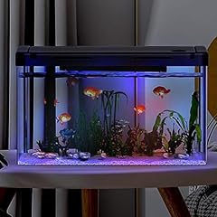 12l modernes aquarium gebraucht kaufen  Wird an jeden Ort in Deutschland