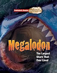 Megalodon prehistoric beasts for sale  Delivered anywhere in UK