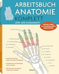 Arbeitsbuch anatomie komplett gebraucht kaufen  Wird an jeden Ort in Deutschland
