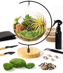 Piece terrarium kit for sale  Delivered anywhere in USA 