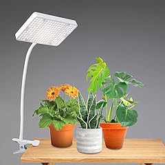 Jinhongto pianta luce. usato  Spedito ovunque in Italia 