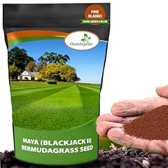 Outsidepride maya bermuda for sale  Delivered anywhere in USA 
