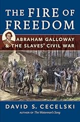 Fire freedom abraham for sale  Delivered anywhere in USA 