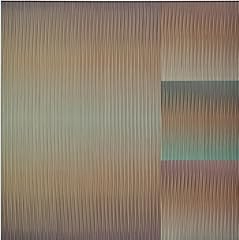 Carlos cruz diez gebraucht kaufen  Wird an jeden Ort in Deutschland