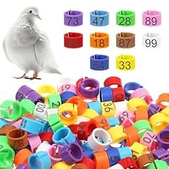 Bohuiz 100 pcs for sale  Delivered anywhere in USA 