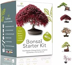 Bonsai starter kit gebraucht kaufen  Wird an jeden Ort in Deutschland