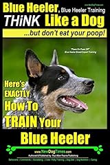 Blue heeler blue for sale  Delivered anywhere in USA 