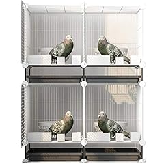 Wotzov large pigeon for sale  Delivered anywhere in UK