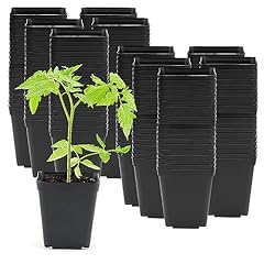 Zeonhak 200 pack for sale  Delivered anywhere in UK
