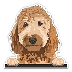 Golden doodle sticker for sale  Delivered anywhere in USA 