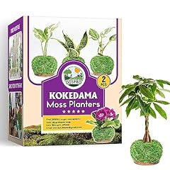 Duspro kokedama moss for sale  Delivered anywhere in USA 