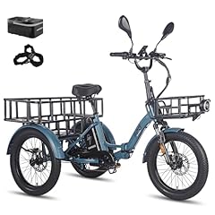 Fafrees dreirad bike gebraucht kaufen  Wird an jeden Ort in Deutschland
