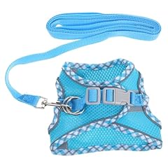 Exhumky set kitten for sale  Delivered anywhere in UK