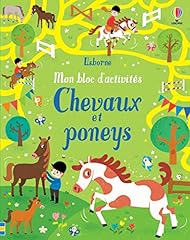 Bloc activités chevaux d'occasion  Livré partout en Belgiqu