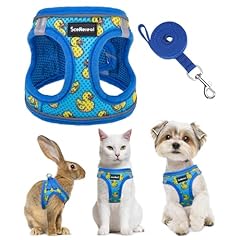 Scenereal cat harness for sale  Delivered anywhere in USA 