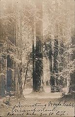 Armstrong woods encampment for sale  Delivered anywhere in USA 