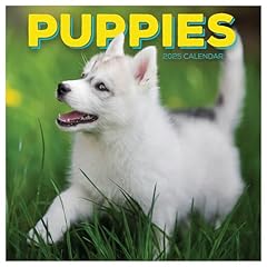 Publishing 2025 puppies for sale  Delivered anywhere in USA 