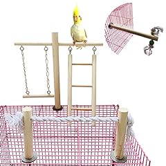 Pinvnby parrot climbing for sale  Delivered anywhere in USA 