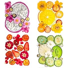 Pieces dried pressed for sale  Delivered anywhere in USA 