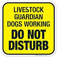 Livestock guardian dogs for sale  Delivered anywhere in USA 