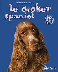 Cocker spaniel d'occasion  Livré partout en Belgiqu