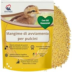 Aninat alimento starter usato  Spedito ovunque in Italia 