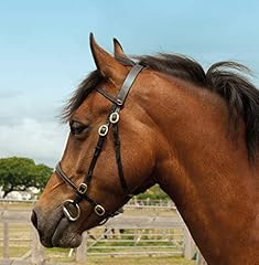 shetland hand bridle for sale  Delivered anywhere in UK