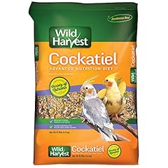 Wild harvest cockatiel for sale  Delivered anywhere in USA 